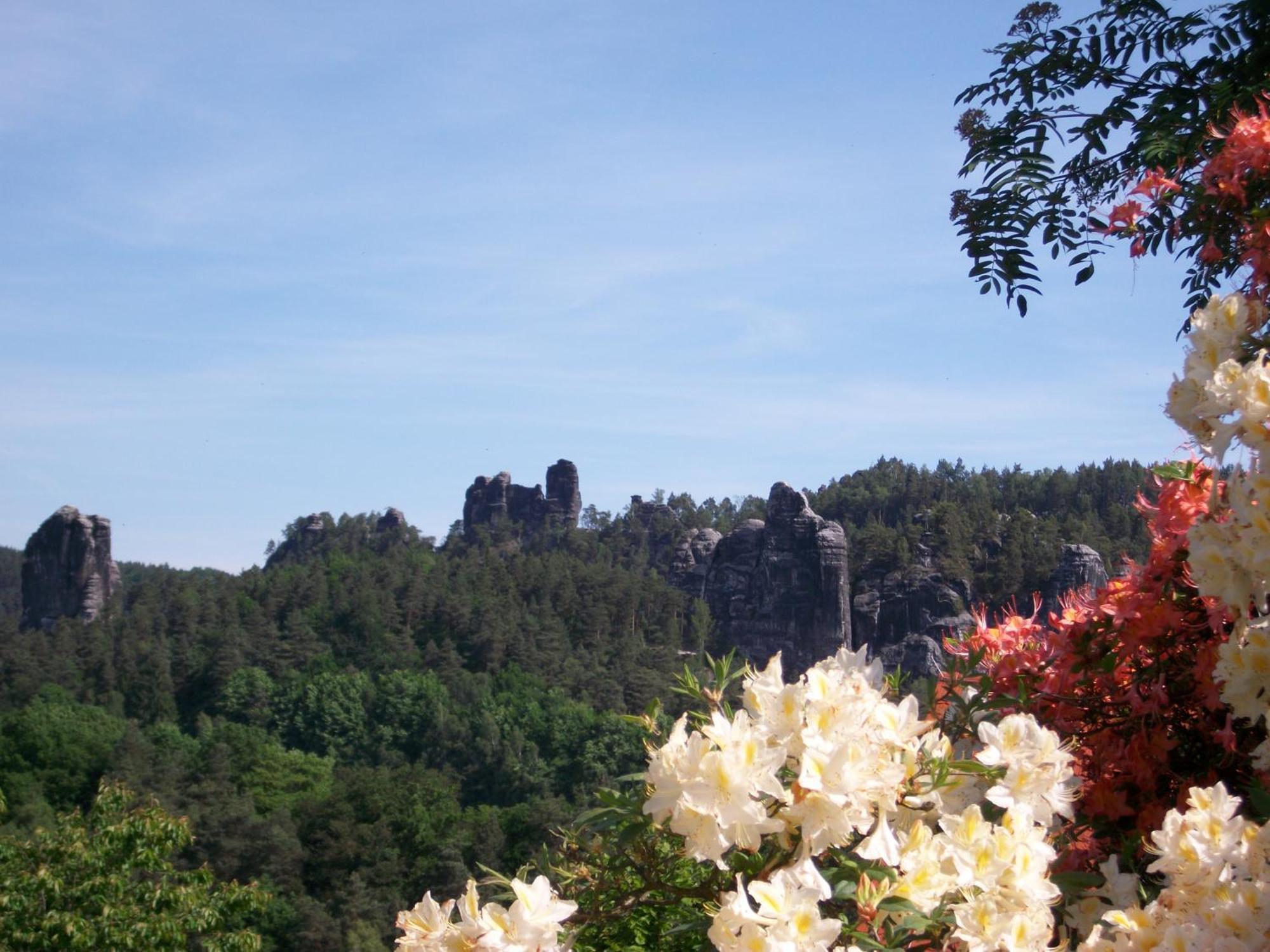 Ferienwohnung Zum Lilienstein Bad Schandau Kültér fotó