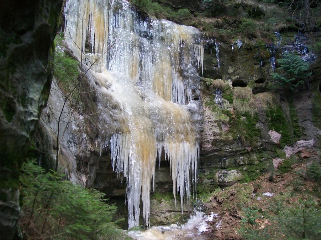 Ferienwohnung Zum Lilienstein Bad Schandau Kültér fotó